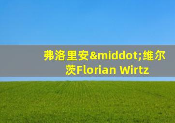 弗洛里安·维尔茨Florian Wirtz